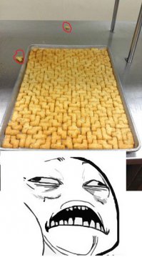 19 идеальных фотографий, которые заставят пищать от удовольствия 