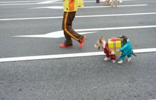 Куда ставить?