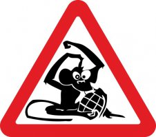 Дамочка на встречке в Баку