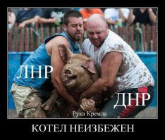 В Киеве признали отсутствие регулярных частей ВС России в Донбассе