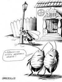 Мухи - источник вдохновения