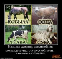 Фишкина солянка за 18.08.2014
