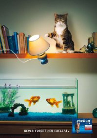 Такого мобильника мужики ещё не видели!