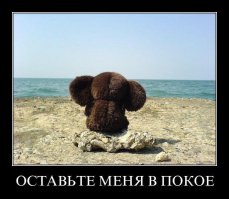 Пошлые посты из соцсетей с забавными комментариями к ним