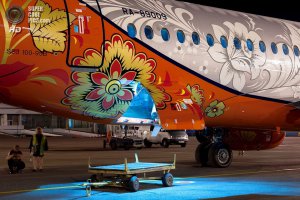 Необычная раскраска самолетов