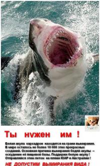 Фишкина солянка за 19.06.2014