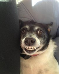 Фотоподборка за 12.05.2015