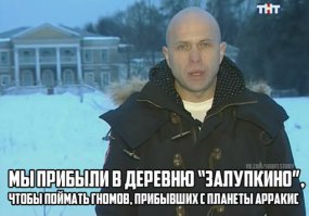 8 интересных фактов
