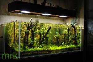 Если кто-то вдохновиться этой статьей на самостоятельную склейку аквы, обязательно читайте специализированные форумы!!! Потому что то что здесь написано и показано - кустарщина и ряд очень важных нюансов вообще не освещены.
Кстати моя банка - клеил сам