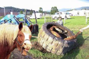 Дженифер Энистон появилась без нижнего белья