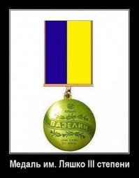 А этим их награждают