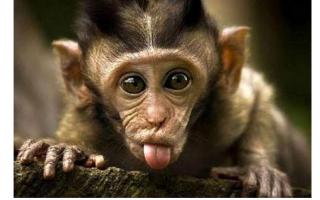 Фотоподборка за 13.08.2014 