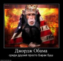 Вопрос не в том, как они туда попали, а в том, как их оттуда извлечь?