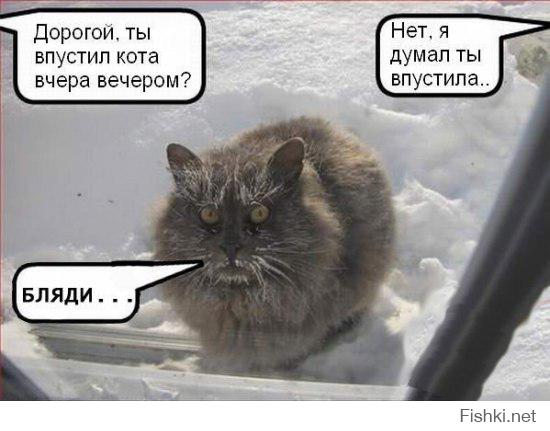 Когда завёл домашнего питомца главное не забывать , что он ДОМАШНИЙ ! :)