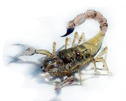 Не знаю, чьих рук творение, но тоже зачетно!