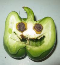 Не унывать!