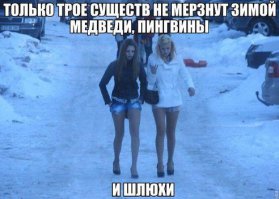 Прикольные картинки с надписями