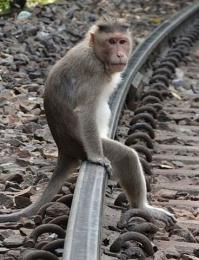 Стыдно признаться, моя озвучка