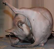 Как сделать себе домофонный ключ в стиле стимпанк