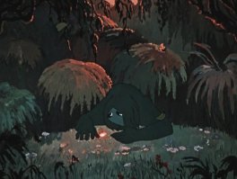 18 фотографий, которые доказывают, что ленивцы – милашки