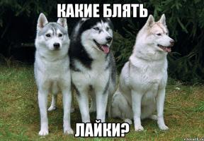 Интерстеллар. Спойлер