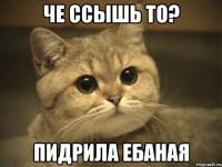 Ты не опасаешься, ты ССЫШ!!   
Ты реально очкуешь! По бабски, тресясь за свои ненужные для генокода яйца!
И уже ни когда в жизни не сможешь как мужик встать и сказать "Я отвечу за свои слова лицом к лицу". Ты лжешь, опасение за свою жизнь свойственно только ссыкунам. Тигр не боится когда делает прыжок, солдат может бояться внутри, но идет на танк с гранатой.
А ты ссыклявое чмо, что выдаст сразу всех покажи тебе паяльник.
Ну тогда наклей себе табличку "Гавкаю из-за забора, без забора ссу"