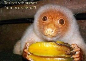 22 животных, о которых вы не знали