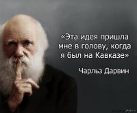 только все наоборот - обезьяны - это деградировавшие люди))
