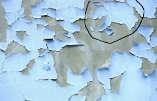 Блин, покажите Умку, я только свинью нашел. Если бы это был тест Роршаха, я бы, наверное, много интересного о себе от психиатра узнал... ))