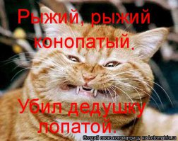 Параллельная реальность: Рыжие и конопатые знаменитости