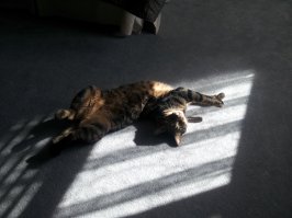 a tak my lyubim nezhitsya:)