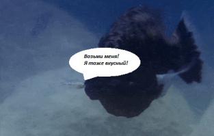 Хорошо пообедала