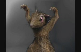 Особенно если такая: