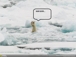 Лучшие фотографии National Geographic 2014