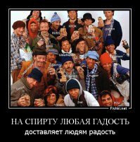  15 вещей о водке, которые необходимо знать в пятницу вечером
