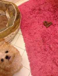 Всех с праздником!)))