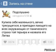 Смешные комментарии из социальных сетей 12.03.15