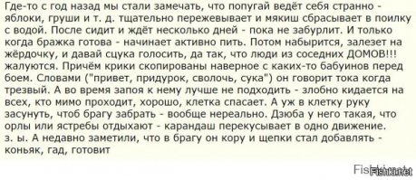 Смешные комментарии из социальных сетей 12.03.15