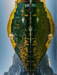 Я пришел с миром!