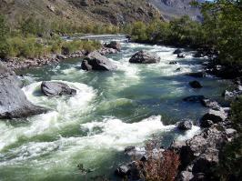 20 самых захватывающих приключенческих фотографий года