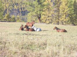 20 самых захватывающих приключенческих фотографий года