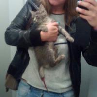 Подобрала оборванца на улице с изуродованным хвостом и лапой. Хвост ампутировали сразу, за лапу боролись 2 месяца, но безуспешно =(