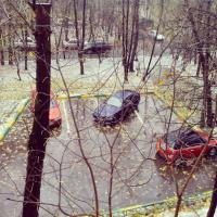 могу выложить подборочку с одной стоянки. Исключительно мужики. Как приехал, так и бросил. Номеров телефона нет. Так что это вопрос не пола, а умственных способностей