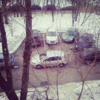 Вот еще один. Ходить на 20 метров дальше для него смерти подобно.