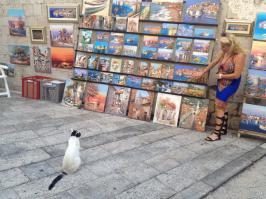котяка-живопись созерцака :)