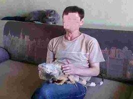 Для наглядности...