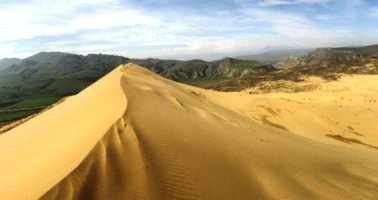 Бархан Сарыкум в Дагестане является уникальным памятником природы, подлинным музеем самобытной флоры и фауны.В окрестностях бархана и у прилегающих к нему склонов хребта Нараттюбе насчитывает около 170 видов пернатых, среди которых очень много видов, занесенных в Красную книгу России.А ещё здесь обитает более тысячи видов дневных и ночных бабочек. В фауне  этого комплекса преобладают пресмыкающиеся и птицы. Из редких и исчезающих видов рептилий встречаются средиземноморская черепаха, желтопузик, ошейниковый эйренис, гюрза и скорпионы.