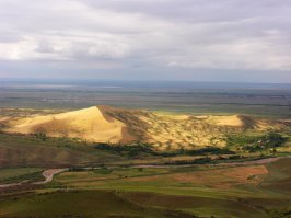 Бархан Сарыкум в Дагестане является уникальным памятником природы, подлинным музеем самобытной флоры и фауны.В окрестностях бархана и у прилегающих к нему склонов хребта Нараттюбе насчитывает около 170 видов пернатых, среди которых очень много видов, занесенных в Красную книгу России.А ещё здесь обитает более тысячи видов дневных и ночных бабочек. В фауне  этого комплекса преобладают пресмыкающиеся и птицы. Из редких и исчезающих видов рептилий встречаются средиземноморская черепаха, желтопузик, ошейниковый эйренис, гюрза и скорпионы.