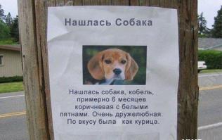 Почему по-русски,где иероглифы корейские?