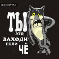 Жил-был пес .